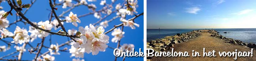 voorjaar-barcelona-strand