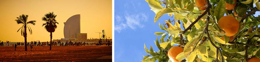 voorjaar-in-barcelona